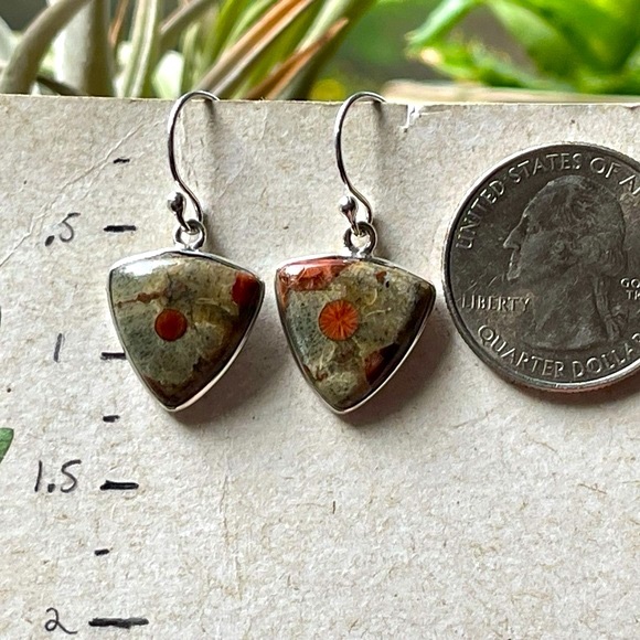Natural Peanut Obsidian 925 Sterling Silver Earrings - Picture 6 of 9